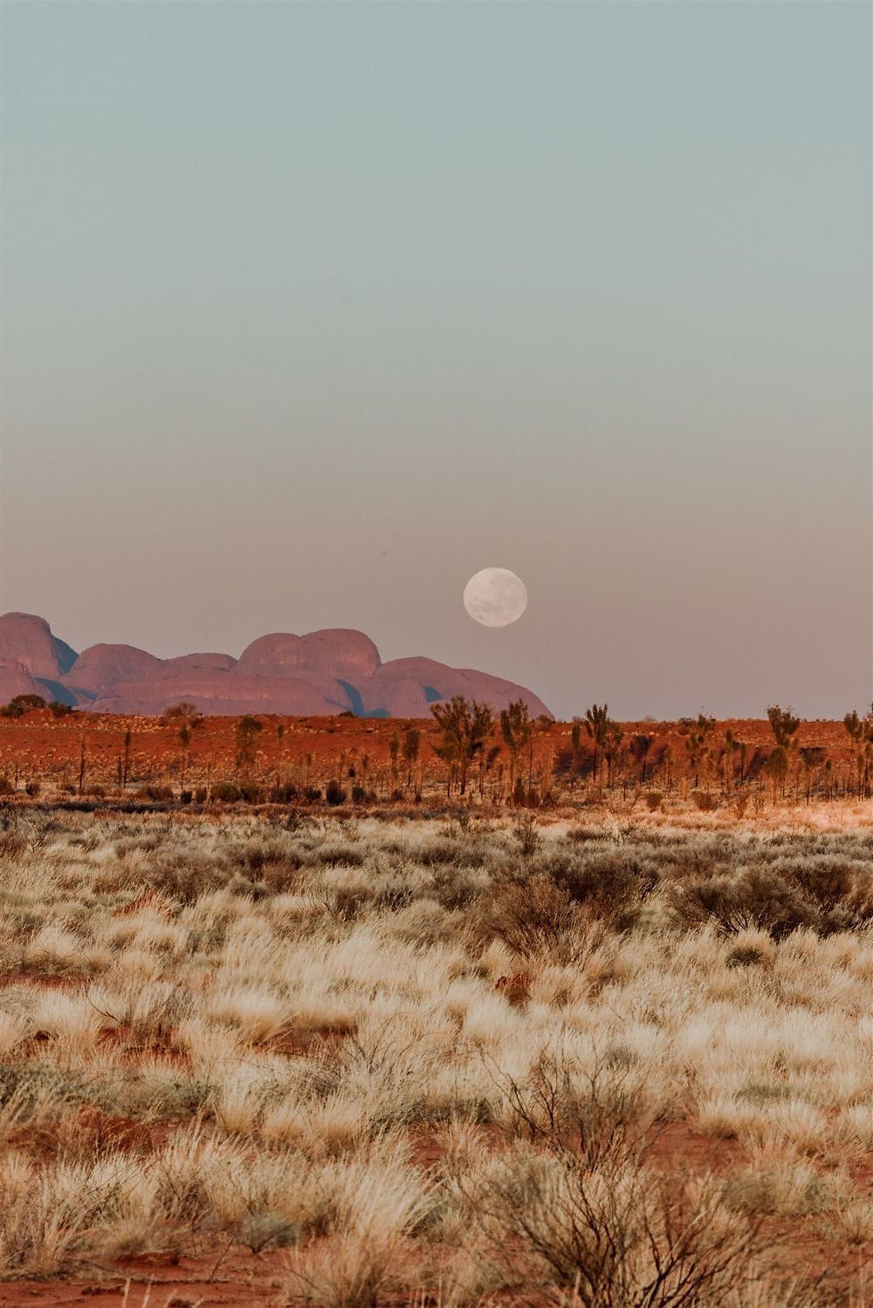 desert.jpg