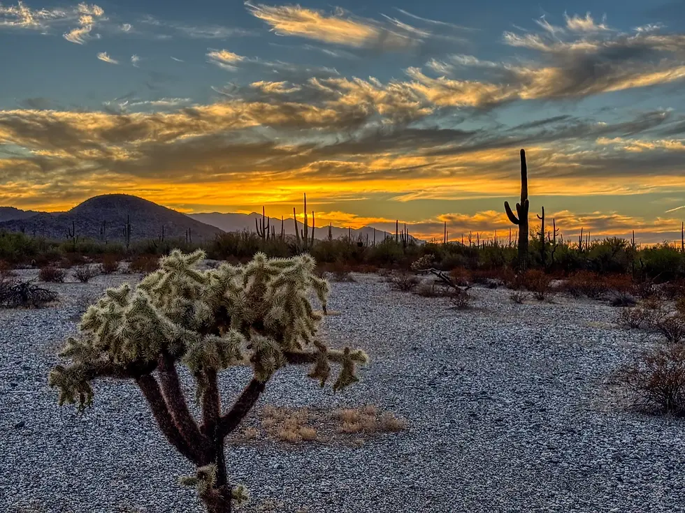 desert 2.webp