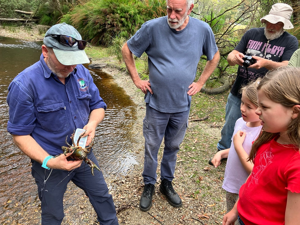 mountrolandlandcare_gfcproject.2.jpeg