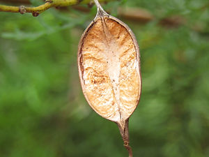 IMG_4028.JPG