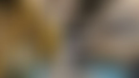 Ingepal reforça posicionamento e aposta em inovação para seguir avançando