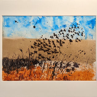 C854 Scatter - mounted.jpg