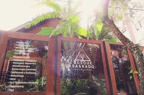 FOTO BOSQUE HOME.png