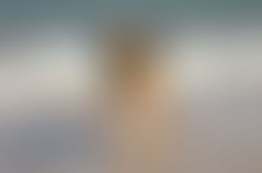 Wczasy całą rodziną