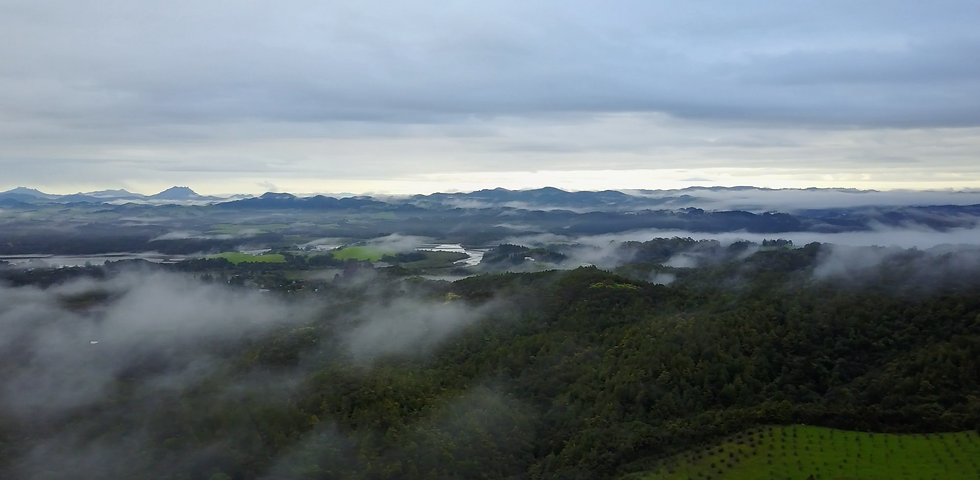 Screen Shot 2022-06-30 at 10.44.42 PM.png