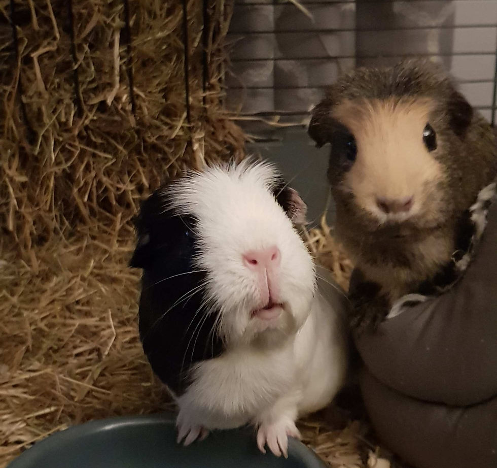 Sandra & Beatrice