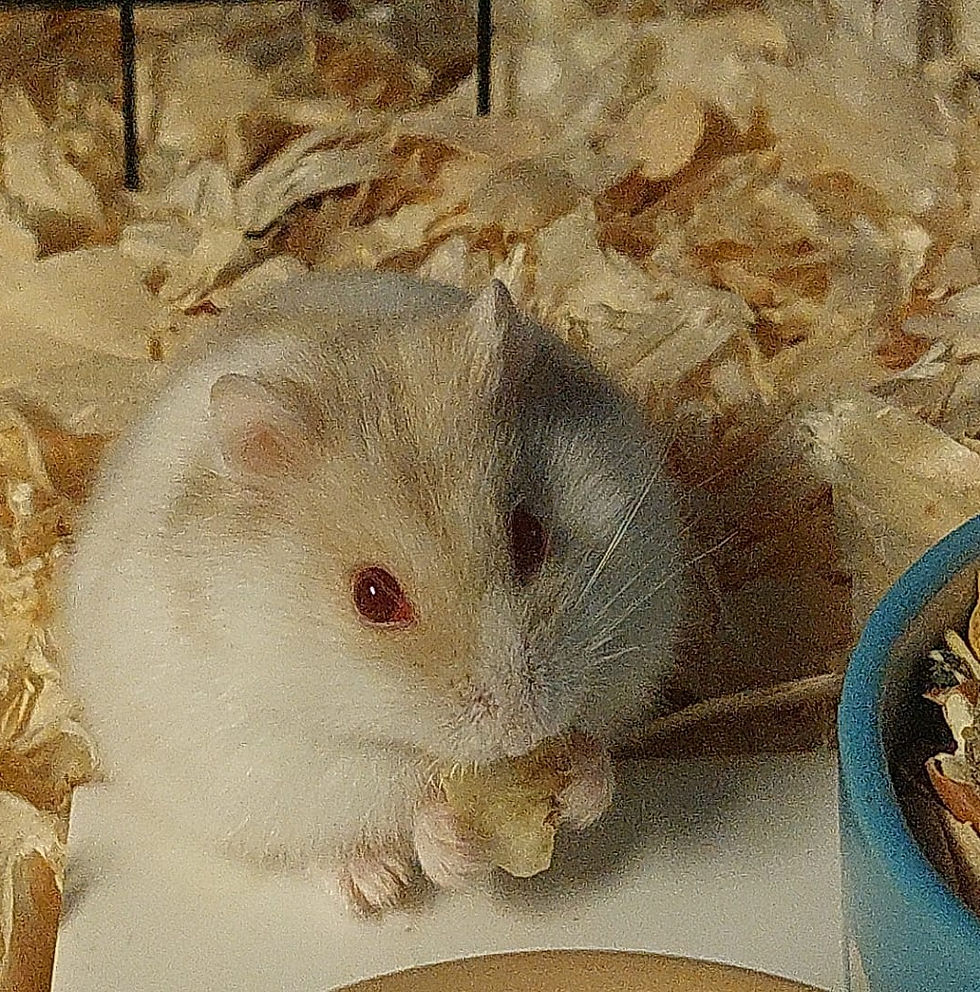 Ruby