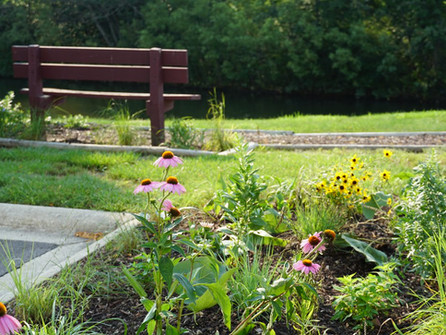OSI Commemorates World Environment Day by Creating a New Native Species Garden