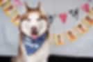 image0.jpeg