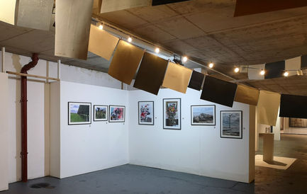 IMG_20211021_154447 (2).jpg