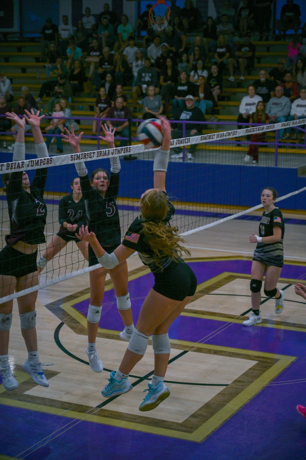 Volleyball-26.jpg