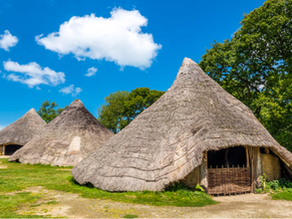 What is archaeology?