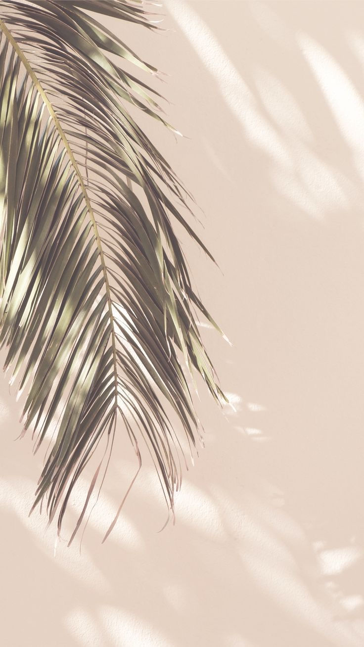 Airbrush Tanning Tantastic Tans By Ashley North Bellmore