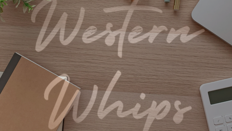 FNCE101 | Challenges of Financing a Car as a University Student