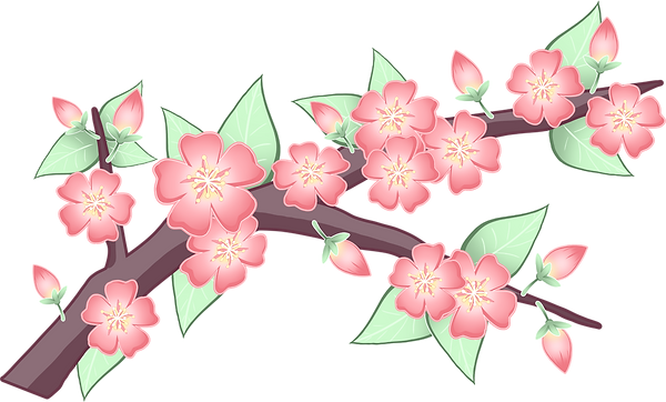 cb full_edited_edited.png