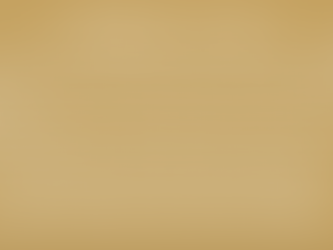 Newsletter 2. 12. 2025