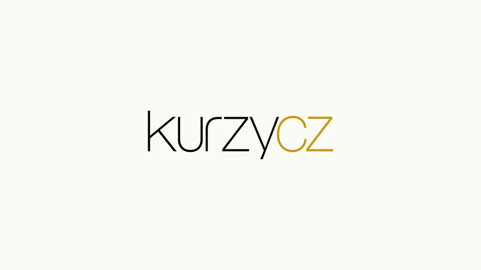 Kurzy.cz: Evropa bez USA: kolik stojí bezpečnost?