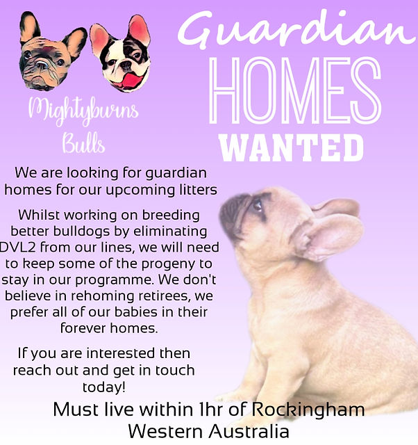 Guardian Opportunities | Mightyburns Bulls Guardian Opportunities | Mightyburns Bulls