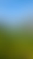 As if it were (still) summer: let's enjoy the heat and beauty of Malcesine these days!