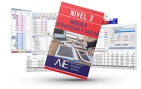 NIVEL 3 (Avanzado) 205€