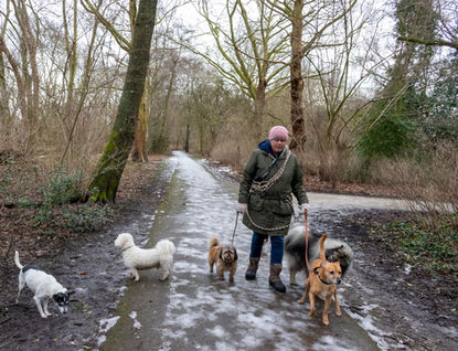 Honden uitlaat serie Gonda Kapika Photography