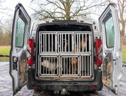 Honden uitlaat serie Gonda Kapika Photography