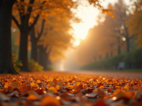 Booking a Reiki Session This Autumn