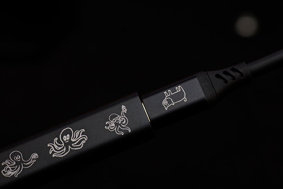 Thumbnail: ROCK - Piglet Plug - 0.5m cable