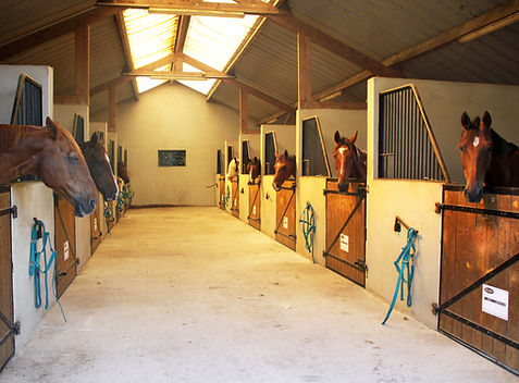 Ecurie chevaux.jpg