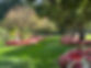 IMG_3605.jpeg