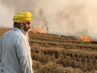 Open Agricultural Burning 