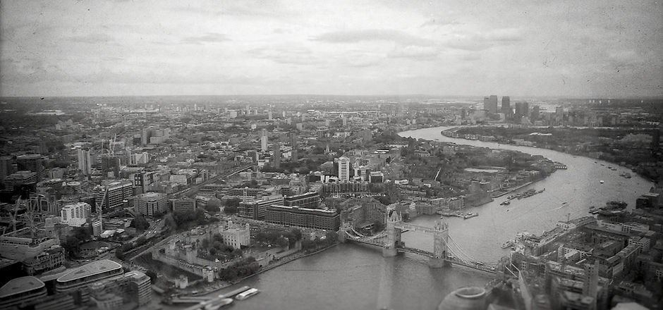LondonSurvey.jpg