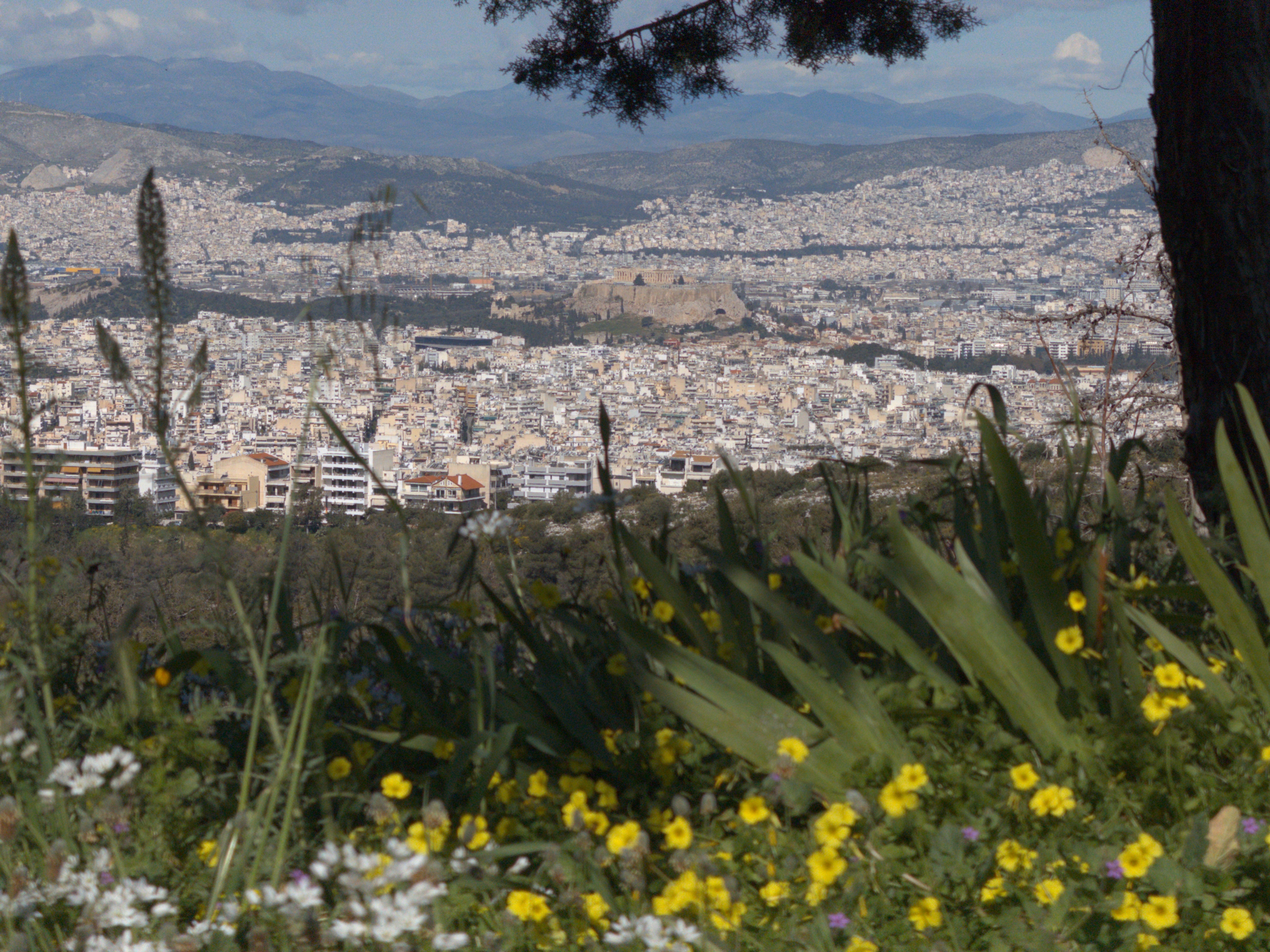 Panos Frantzis - Acropolis