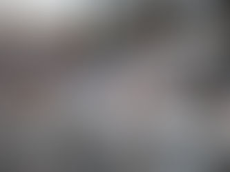 Burlington & Cool Schools Penguin Plunge Raises Over $675,000 for Special Olympics Vermont