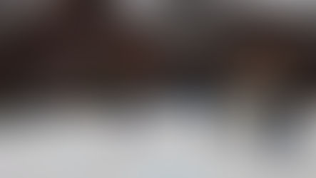 Special Olympics Vermont Celebrates a Successful 2024 Winter Games