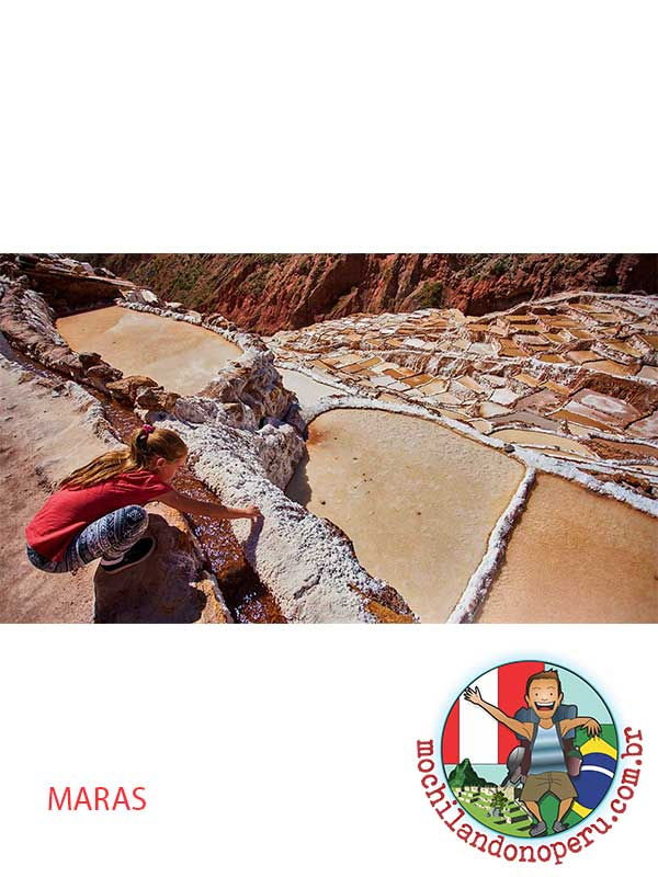Miniatura: MARAS - MORAY