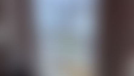 Niagara Falls presidential suite at Marriot