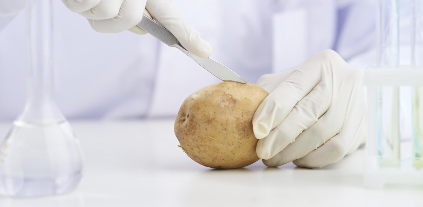 FOOD SCIENCE calmetrix