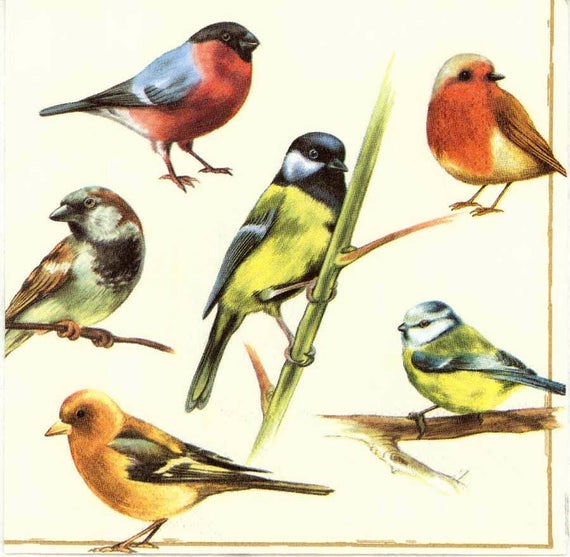 Multiple Birds- Decoupage Napkin
