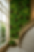 Parede interna com jardim vertical exuberante composto por folhagens verdes, flores amarelas e vermelhas, ao lado de escada curva de mármore e janelão envidraçado que permite entrada de luz natural, criando um ambiente sofisticado e acolhedor.