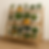 Estante de madeira em formato de escada com três prateleiras, apoiada em parede clara sobre piso de madeira, exibindo diversos vasos decorativos com plantas verdes de diferentes tamanhos e folhagens, formando um arranjo natural e organizado para ambientes internos.
