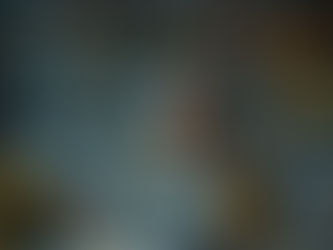 First Meeting of Board of Trustees: November 2023