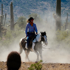 Arizona 2022