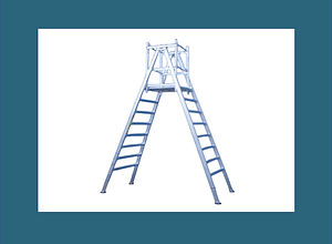 Platform-Trestle-Ladder - WS_edited.jpg