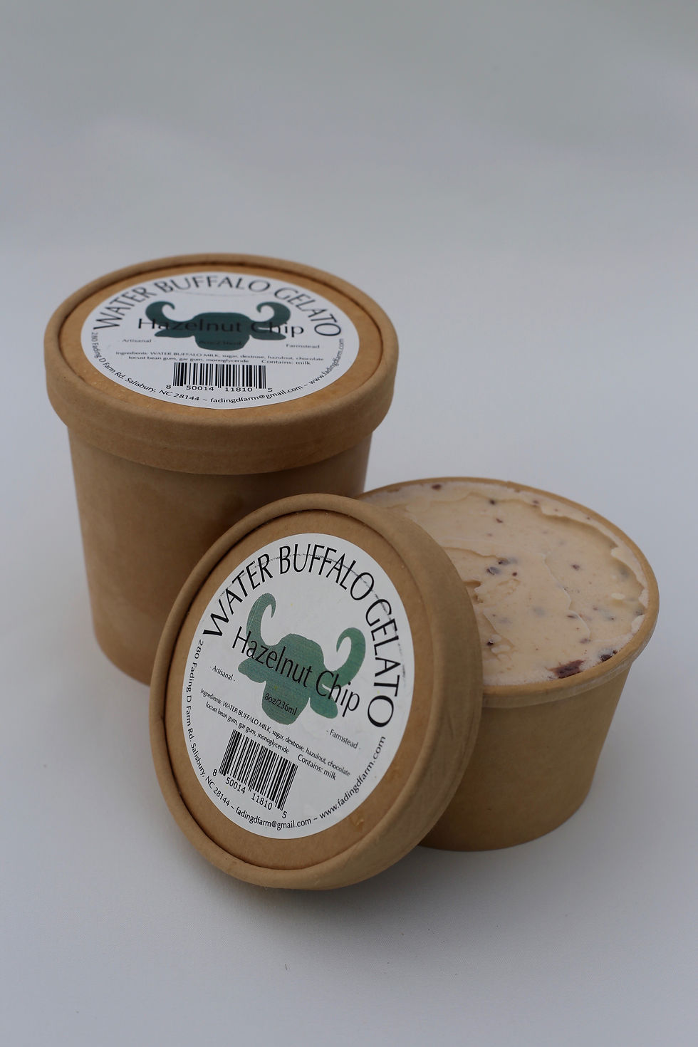 Hazelnut Chip Gelato Fading D Farm