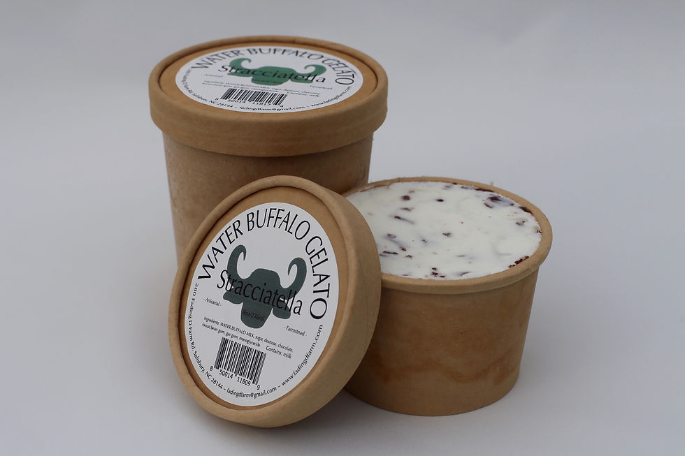 Stracciatella Gelato Fading D Farm