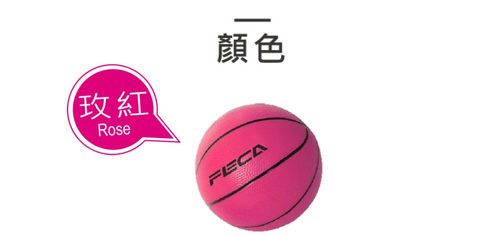 縮圖：【FECA】 MIT 灌籃高手 - 籃球 (單入)
