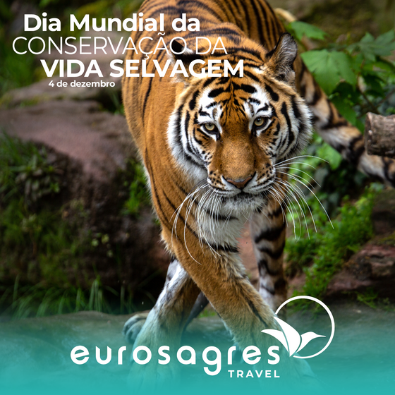 Template Dia mundial1.png