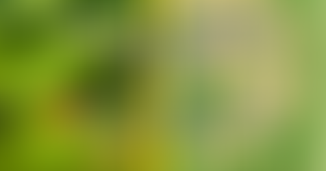 Chesterfield’s Salt River Golf Course Redevelopment – What to Know