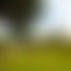 Lambingan Hill, Cayumbay, Tanay Rizal